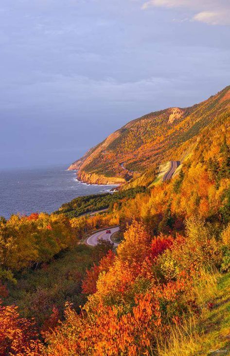 Nova Scotia Nature, Cabot Trail Nova Scotia, Nova Scotia Landscape, Nova Scotia Travel, Cabot Trail, Cape Breton Island, Fall Colours, Canadian Travel, Scenic Photos