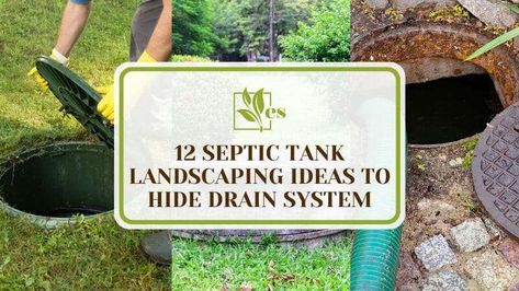 Patio Over Septic Tank, Landscape Around Septic System, Aerobic Septic System Landscaping, Covering Up Septic Tank Lids, How To Hide Septic Tank Lids With Plants, Septic Field Landscaping, Hiding Septic Tank, How To Disguise Septic Tank Covers, Garden Mounds Landscaping Ideas