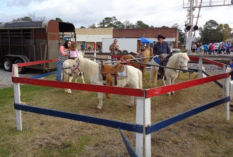 Petting Zoo Set Up Ideas, Pony Rides Birthday Party, Pony Ride Birthday Party, Canvas For Painting, Horse Corral, Zoo Ideas, Creepy Carnival, School Carnival, Help Animals