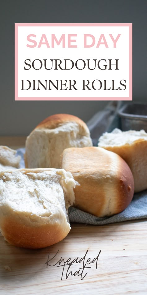 Quick Rolls Recipe, Rolls Sourdough, Sourdough Dinner, Sourdough Dinner Rolls, Thanksgiving Rolls, Sourdough Rolls, Sourdough Starter Discard Recipe, Easy Sourdough, Gluten Free Sourdough