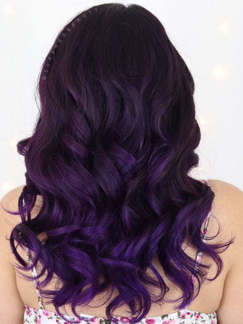 Artic Fox Hair Dye Before And After, Purple Rain Arctic Fox Hair, Purple Rain Hair, Arctic Fox Purple, Arctic Fox Purple Rain, Fox Hair Dye, Arctic Fox Hair Dye, Violet Hair Colors, Dark Purple Hair