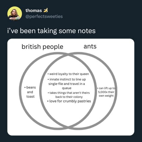 British Humor, British People, What’s Going On, Really Funny Memes, Tumblr Funny, Funny Posts, Ants, Funny Cute, In The Middle