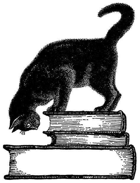 Cat And Books Drawing, Cat And Book Drawing, Cat Books Tattoo, Cat On Books Drawing, Lausse The Cat, Cat Book Illustration, Cat And Book Tattoo, Bookplate Design, Cat Book