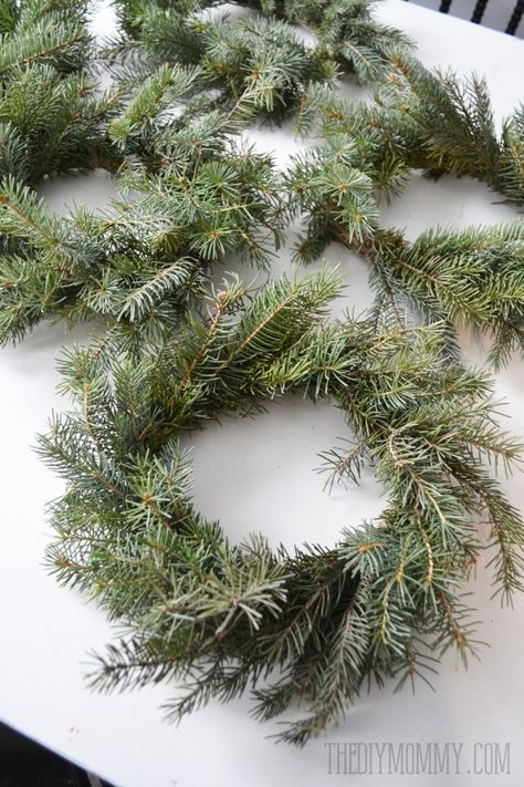 Make Real Evergreen Wreaths | The DIY Mommy How To Make A Wreath With Pine Branches, Make A Wreath From Branches, Wreath From Tree Trimmings, Christmas Wreaths Diy Evergreen, Live Christmas Wreaths, Natural Wreaths, Evergreen Wreaths, Christmas Wreaths For Windows, Homemade Wreath