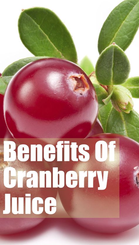 Pure cranberry juice offers a myriad of health and beauty benefits on account of its high nutritional value. Let’s look at how cranberries are beneficial for us and how we can include them in our health routine. What Is Cranberry Juice Good For, Benefits Of Cranberry Juice, Cranberry Juice Benefits, Drinks With Cranberry Juice, Pure Cranberry Juice, Cranberry Benefits, Juice For Skin, Juice Benefits, Calendula Benefits