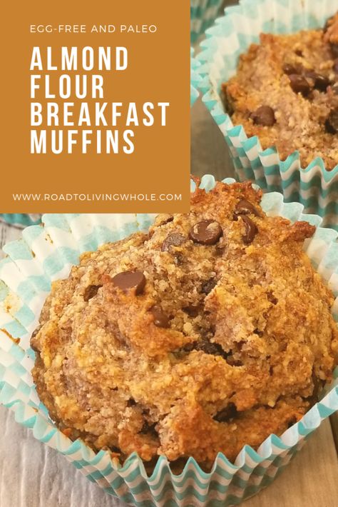 Eat In The Car, Egg Free Muffins, Vegan Breakfast Muffins, Flax Muffins, Almond Flour Muffins, Potato Muffins, Applesauce Muffins, Baking With Almond Flour, Eggless Desserts