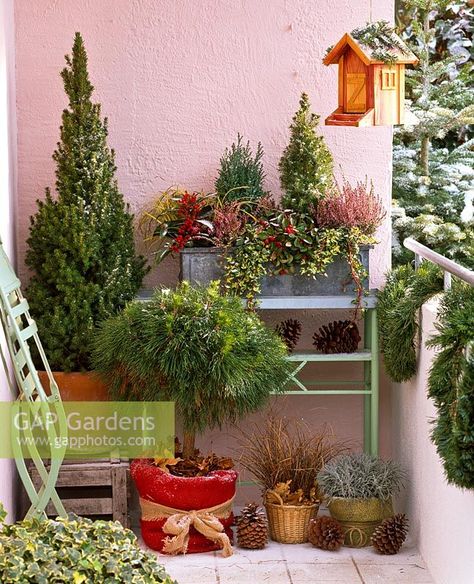 Balconies With Plants, Balcony Winter Ideas, Winter Garden Balcony, Winter Balcony Decor, Winter Balcony Plants, Autumn Balcony Plants, Winter Balcony Ideas, Winter Balcony, Evergreen Garden