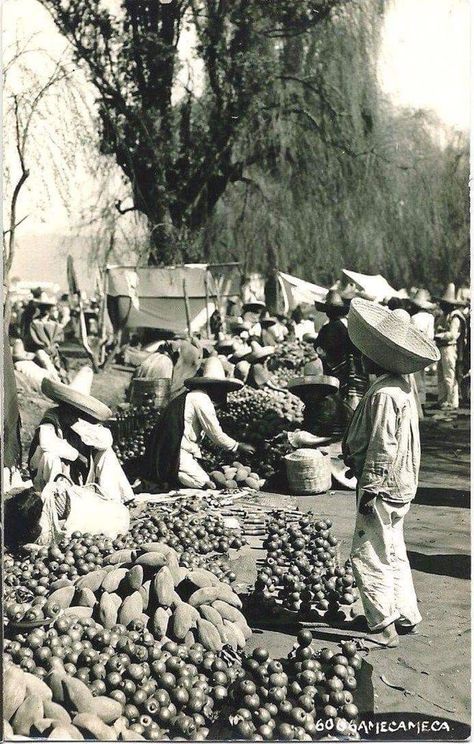 Tina Modotti, Mexico Pictures, Detroit Institute Of Arts, Mexico Culture, Edouard Manet, Mexican Culture, Lithograph Print, Vintage Mexican, Mexican Art