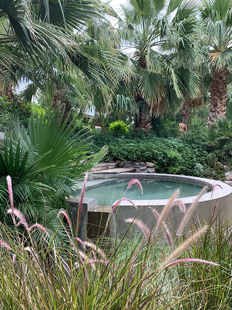 Spa Diary: Two Bunch Palms Palm Springs Spa, Day Spas, Desert Resort, Mud Bath, Spring Spa, Desert Hot Springs, Best Spa, Spring Resort, Yard Design