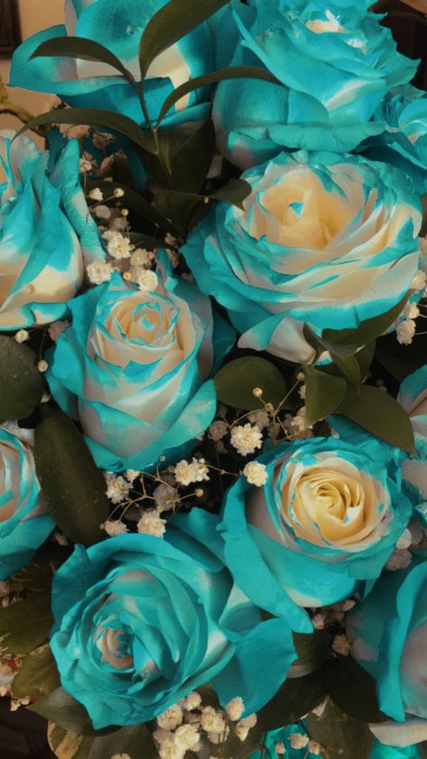 Teal Flowers Aesthetic, Light Turquoise Aesthetic Wallpaper, Muse Aesthetic, Teal Roses, Computer Images, Turquoise Aesthetic, Flowers Pics, Second Sight, Cyan Colour