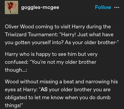 Harry Potter Prompts, Harry Potter Next Gen Headcanons, Funny Harry Potter Headcannons, Hp Incorrect Quotes, Incorrect Harry Potter Quotes, Harry Potter Modern Au, Slytherin Harry Potter Au, Harry Potter Fic Recs, Harry Potter Tumblr Funny