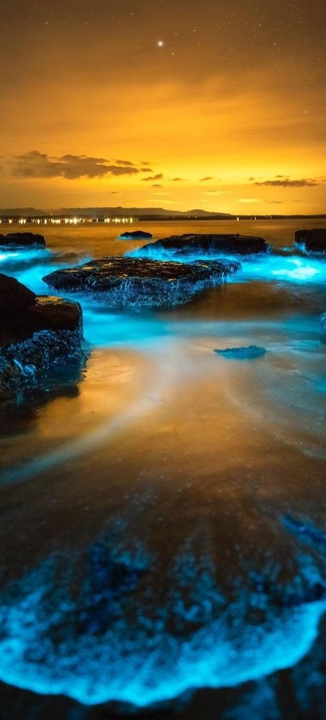 Jervis Bay Australia, Jervis Bay, Australia, Quick Saves