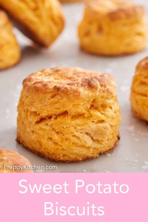 Give your bread basket a holiday-ready makeover with this simple Sweet Potato Biscuits recipe! Between the gorgeous orange hue and deliciously seasonal flavor, these are the perfect Thanksgiving biscuits to compliment your dinner spread. Sweet Potato Dinner Rolls Recipe, Sweet Potato Buttermilk Biscuits, Sweet Potato Biscuit Recipe, Sweet Potato Bread Rolls, Bisquick Sweet Potato Biscuits, Sweet Potato Buiscits, Sweet Potato Biscuits With Bisquick, Sweet Potato Biscuit, Sweet Potato Biscuits Easy