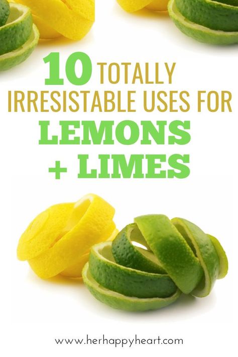 Recipes Using Limes Healthy, Fresh Lemon And Lime Recipes, How To Use Up Limes, What To Do With Excess Lemons, What To Do With Limes Ideas, Lemon And Lime Recipes, Too Many Lemons, What To Do With Limes Recipes, Things To Do With Limes