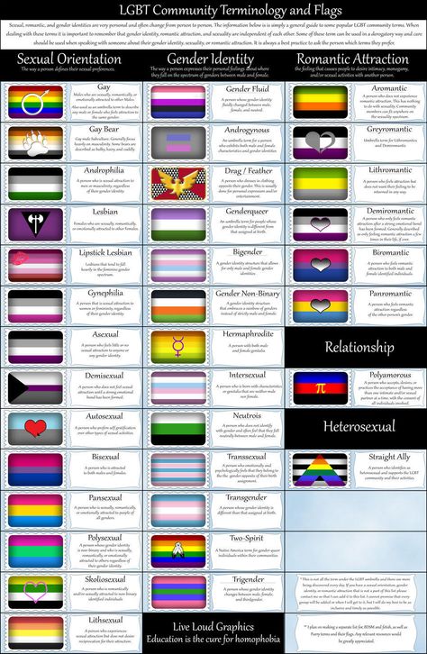 LGBT Terminology and Flags | LGBTQ | Know Your Meme Gender Identities, Lgbt Memes, Lgbt Equality, Lgbtq Flags, Lgbt Flag, Pansexual Pride, Lgbt Rights, Lgbt Love, Gender Identity