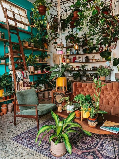 Plant Decor Ideas, Vintage Coffee Shops, Flower Shop Interiors, Bauhaus Architecture, Flower Shop Design, Plant Care Tips, Coffee Shop Interior Design, Coffee Shop Aesthetic, Coffee Shops Interior