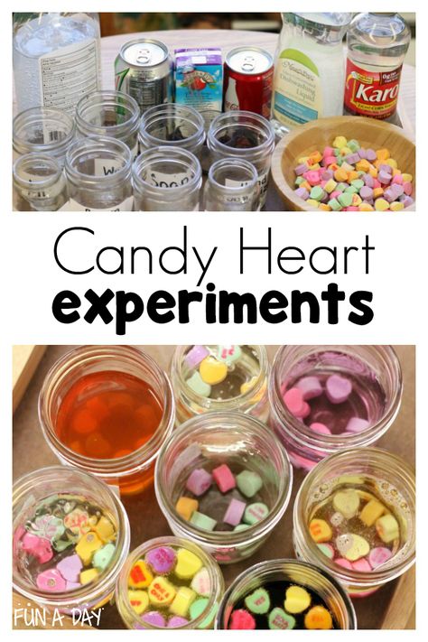 These preschool candy heart experiments are perfect for the month of February! #FunADay #preschool #preschoolactivities #valentinesday #science #preschoolscience #preschoolscienceactivities Heart Experiment, Tk Classroom, Valentine Preschool, February Preschool, Science Valentines, February Activities, Science Kids, Classroom Science, February Ideas