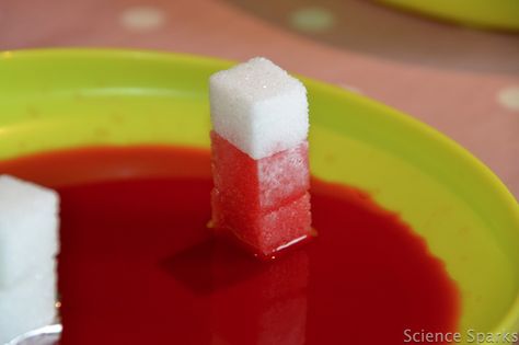 Sugar cube Science - good idea for explaining diffusion, saturation, solvent/solute during chemistry unit on matter Highscope Activities, High Scope, Science Experience, Steam Ideas, Steam Activities, Science Chemistry, Sugar Cubes, Science Ideas, Kindergarten Science