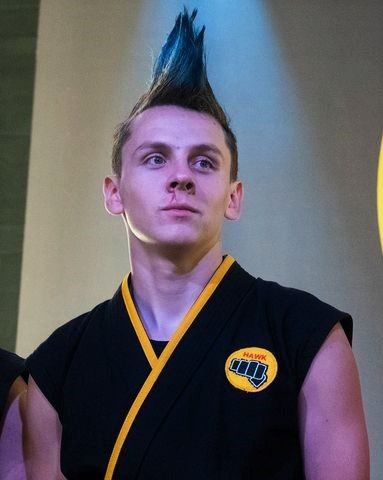 hawk Jacob Bertrand, The Karate Kid, Cobra Kai Dojo, Karate Kid Cobra Kai, Kid Cobra, Karate Kid, Karate, Tv Shows