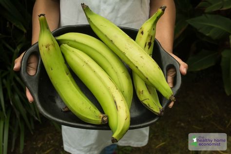 Plantain Flour    Have you ever wondered about the differences between bananas and plantains? If you bake with these foods frequently, you’ve probably thought about how plantain flour compares with banana flour as well.They certainly look similar, but beyond that, Read more...    https://www.thehealthyhomeeconomist.com/plantain-flour/ Plantain Flour, Green Banana Flour, Colombian Dishes, Mashed Plantains, Banana Flour, Plantain Recipes, Puerto Rican Cuisine, Puerto Rican Dishes, Ripe Plantain