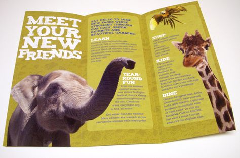 Animal cut-outs flyer Zoo Flyer Design, Zoo Brochure Design, Zoo Design Graphics, Zoo Flyer, Animal Brochure, Zoo Brochure, Science Brochure, Conservation Poster, Museum Brochure