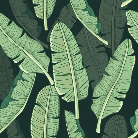 Banana Leaf Tropical Pattern Palm Background, Banana Leaf Pattern, Salon Office, Tropical Aesthetic, Grass Wallpaper, Tropical Background, Summer Illustration, Banana Leaves, Wallpaper Patterns