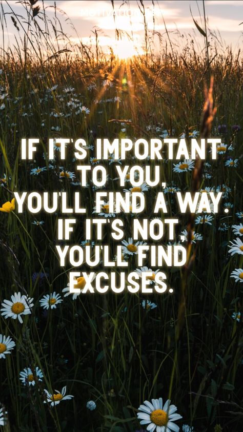 When I Lost My Excuses I Found Results, Make Excuses Or Make It Happen, Make Time Or Make Excuses, If Its Important To You Youll Find A Way, Excuses Are The Tools Of The Incompetent, You Repeat What You Dont Repair, Excuses To Not Hang Out, Quotes About Excuses, Stop Making Excuses Quotes