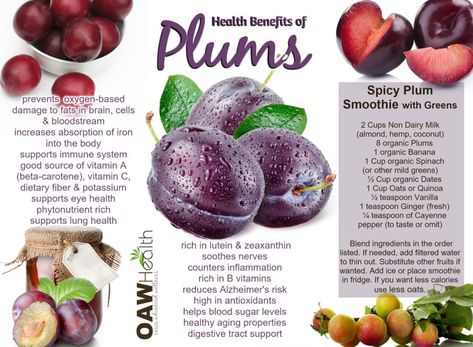 Benefits Of Plums, Plum Benefits, Tea Herbs, Dried Plums, Purple Food, Sources Of Vitamin A, Healthy Cholesterol Levels, Yellow Foods, Better Body