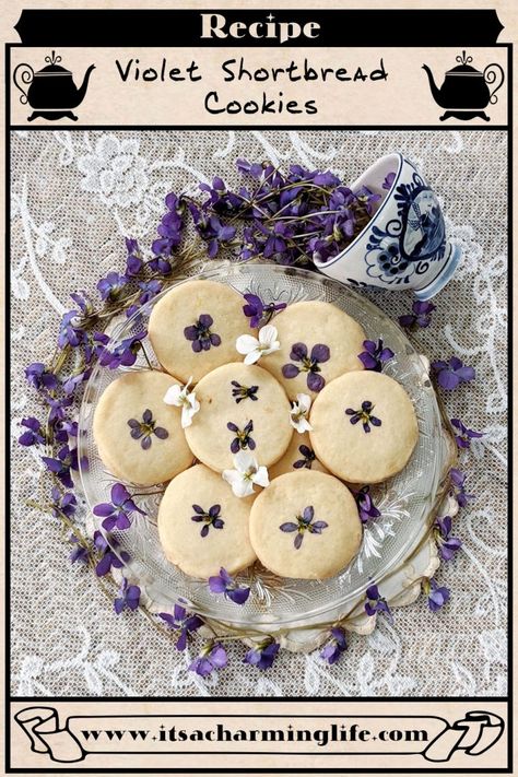 VIOLET SHORTBREAD COOKIES | Charming Recipe Violet Cookies, Cottage Core Recipes, Cottagecore Baking, Cookies Shortbread, Cottagecore Recipes, Shortbread Cookies Recipe, Edible Flowers Recipes, Spring Baking, Foraging Recipes