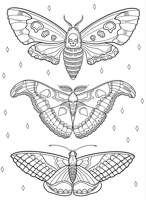 Moth Outline Tattoo, Moth Drawing Simple, Insect Outline, Insect Tattoo Design, Moth Stencil, Tattoo Portfolio Ideas, Moth Outline, Cat Kingston, Kingston Tattoo