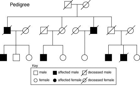 Pedigree Chart Reading Dna Extraction Lab, Mendelian Inheritance, Genetic Inheritance, Dna And Genes, States Of Matter Worksheet, Genealogy Ideas, Matter Worksheets, Pedigree Chart, X Chromosome