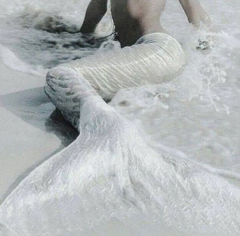 Siren Mermaid, Mermaid Aesthetic, Mermaid Dreams, Mermaids And Mermen, Mermaid Life, Mermaid Tails, Story Board, Dessin Adorable, Fantasy Aesthetic