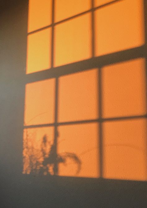 Blinds Shadow, Golden Hour Shadow, Sun Shadow Aesthetic, Golden Hour Aesthetic Collage, Golden Hour Shadow Aesthetic, Golden Hour Window Shadow, Sun Coming Through Window Aesthetic, Sun Blinds, Light And Shadow Photography