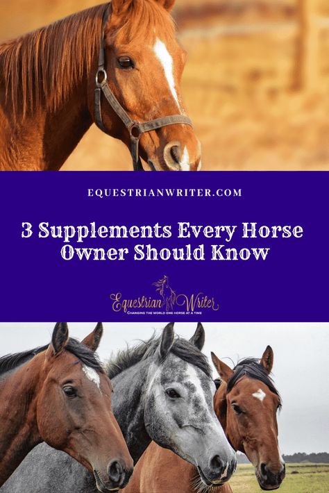 Horse Feeding, Pig Treats, Horse Nutrition, Mini Horses, Horse Care Tips, Horse Facts, Horse Supplements, Horse Info, Dilly Dally