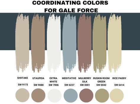 The fact that Gale Force is a pretty dark color does not mean it is impossible to pair it with other colors. This darkish blue paint color pairs nicely with a wide variety of colors—below, we will look at its most popular coordinating colors: Gale Force Sherwin Williams, Sherwin Williams Gale Force, Sherwin Williams Paint Neutral, Coordinating Paint Colors, Blue Paint Color, Shoji White, Darkest Black Color, Color Pairs, The Undertones