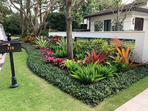 Foxtail Fern, Mulch Landscaping, Florida Landscaping, River Rock Landscaping, Sloped Backyard, Front Yard Design, Corner Garden, Yard Design, Garden Edging