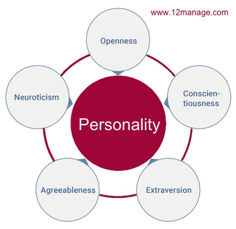 The Big Five Personality Traits (OCEAN) Model Trait Theory, Big Five Personality Traits, Story Tips, Human Personality, The Big Five, Myers Briggs Type, Big 5, Personality Test, Myers Briggs