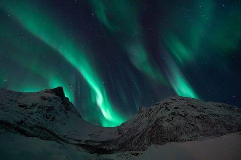 L’aurora boreale è uno dei “fenomeni ottici atmosferici” più belli e più attesi dell’anno. Ecco dove ammirarla in Norvegia, quando… Dark Deck, Northern Lights Wallpaper, Gap Year Travel, The Long Dark, Northern Lights Norway, Trondheim, Stavanger, Wallpaper Space, Wallpaper Pc