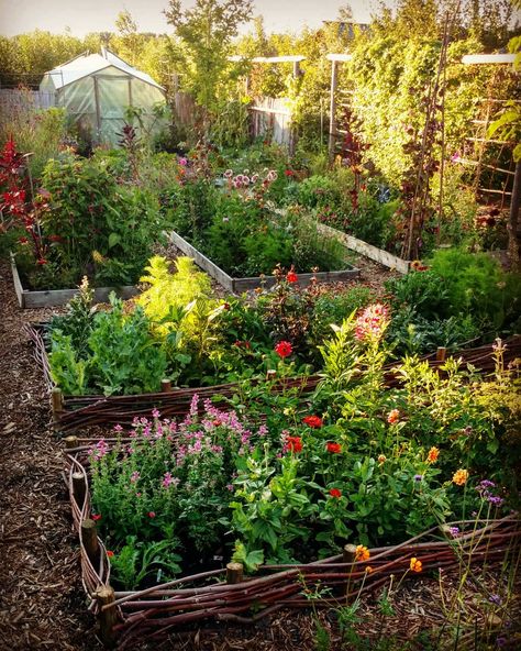 Perennial Garden Design, Allotment Ideas, Urban Garden Design, Farm Living, Potager Garden, Garden Food, Veg Garden, Big Garden, Garden Fairy