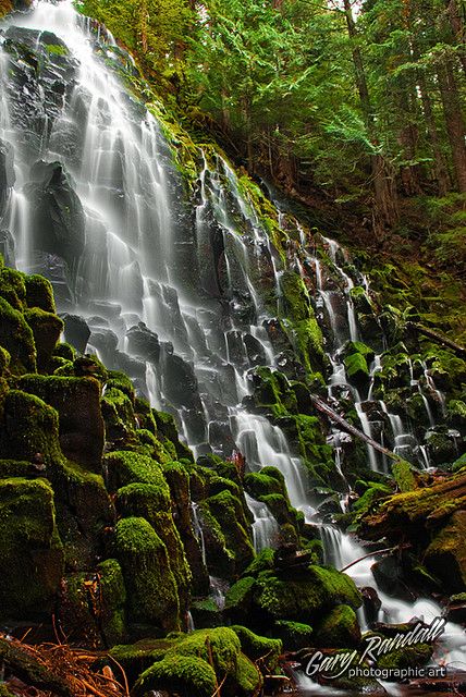 Ramona Falls near Mt. Hood by Gary Randall, via Flickr Rare Places, Ramona Falls, Mount Hood Oregon, Lovely Landscapes, Seattle Trip, Waterfall Pictures, Oregon Waterfalls, Southwest Usa, Falling Water