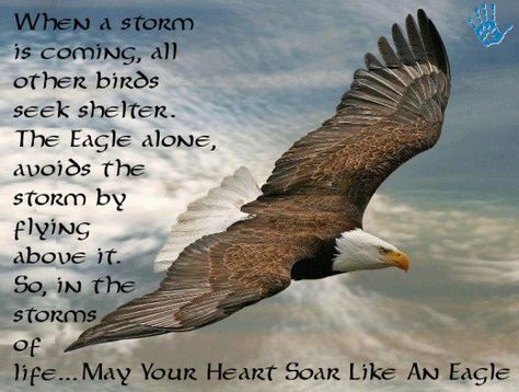 Eagles Quotes, Aigle Royal, Eagle Flying, Eagles Wings, Wings Like Eagles, Eagle Pictures, Native American Quotes, Isaiah 40 31, Inspirational Poems