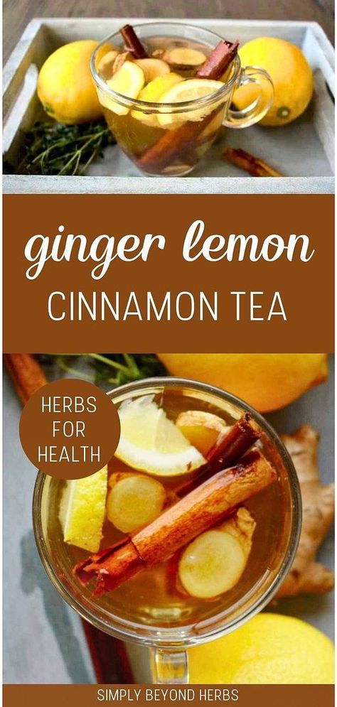 Discover our Ginger Lemon Cinnamon Tea Recipe in the Herbs for Health & Healthy Herbs category. This warming tea is perfect for those seeking natural remedies to improve health and immunity. Each ingredient is chosen for its long-standing medicinal properties. Ideal for enthusiasts of natural health and herbal tea remedies. Visit simplybeyondherbs.com for more herbalism recipes. Medicinal Tea Recipes, Cinnamon Tea Recipe, Herbalism Recipes, Herbal Tea Recipes Homemade, Herbal Tea Remedies, Tea Blends Recipes, Tea Remedies, Herbal Medicine Recipes, Herbal Remedies Recipes