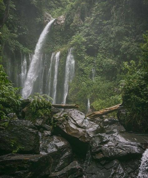 Kali Core Aesthetic, Fae Species, Fairycore Homescreen, Kali Core, Foggy Nature, Dark Forest Aesthetic, Earthy Aesthetic, Dreamy Photography, Forest Mountain