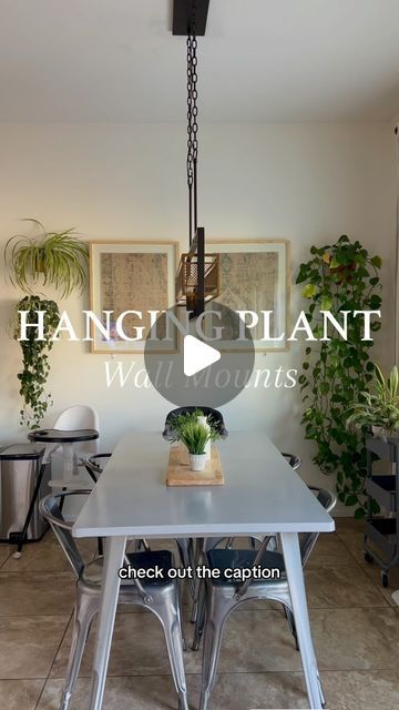 Hanging Plant Dining Room, Mounted Plants, Lakeside House, Plant Rings, Wall Plant Hanger, Hanging Plant Wall, Diy Plant Hanger, Little Life, Wall Mounts