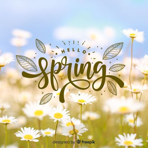 Photographic hello spring background Free Vector April Wallpaper Aesthetic, Hello Spring Wallpaper, Spring Wallpaper Iphone, Aesthetic Spring Wallpaper, Wallpaper April, April Aesthetic, April Wallpaper, Spring Sale Banner, Hello Design