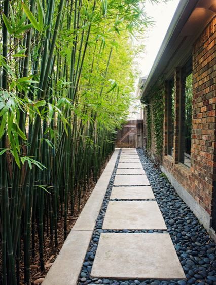 14 Side Return Garden Ideas: Use the Narrow Side of House! 18 Stepping Stone Walkways, Bamboo Trees, Cheap Landscaping Ideas, Walkway Landscaping, Side Yard Landscaping, Pathway Landscaping, Pergola Design, Backyard Privacy, Garden Stepping Stones