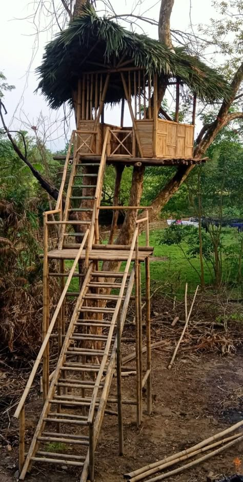 Bamboo Tree House, Beautiful Tree Houses, Bamboo Building, Outdoor Restaurant Design, Tree Fort, Bamboo House Design, Tree House Diy, Backyard Plan, Bamboo Architecture