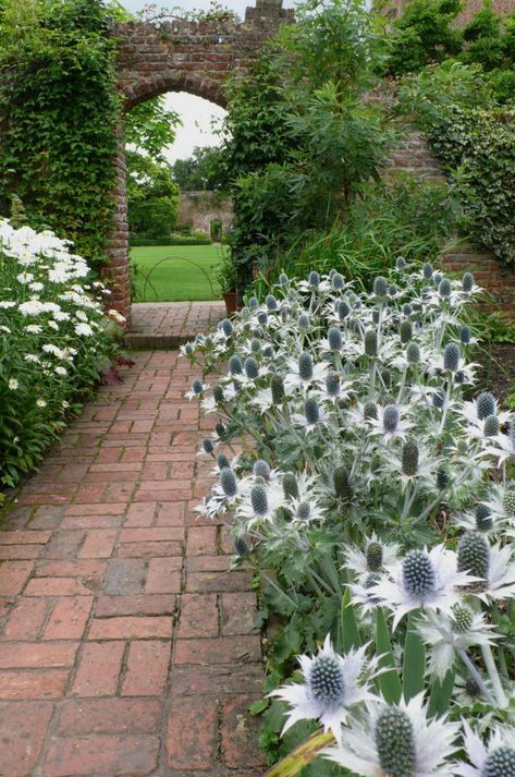 Brick Walkways, Backyard Park, Brick Walkway, Sea Holly, White Plants, Moon Garden, White Garden, The Secret Garden, White Gardens