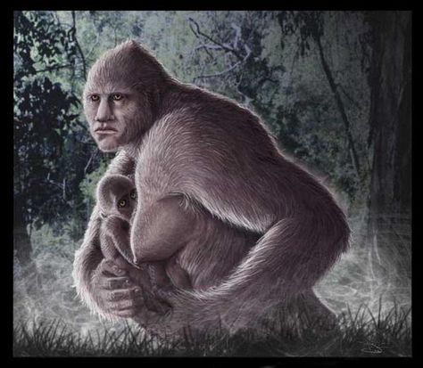 Lady Bigfoot, uh, with baby Bigfoot News, Bigfoot Encounters, Anthropology Major, Forest People, Finding Bigfoot, Bigfoot Sightings, Unsolved Mystery, Legends And Myths, Paranormal Activity