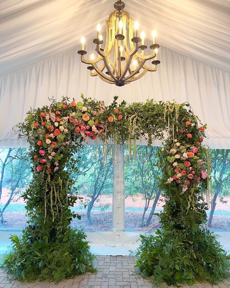 Want to pull off an Enchanting Garden vibe? We got you! . . . . . #ufebuckhead #enchanting #garden #arbor #arch #love #colorful #aesthetic #wedding #rehearsal #luxury #luxurylifestyle #bride #bridetobe #groom Arbor Arch, Wedding Arbors, Enchanting Garden, Flower Walls, Enchanted Forest Wedding, Aesthetic Wedding, Garden Arbor, Colorful Aesthetic, Wedding Rehearsal